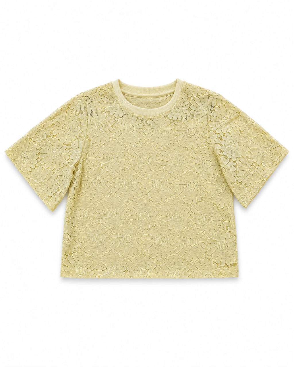 Pastel Yellow Floral Lace Short-Sleeve Top