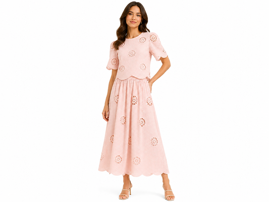 Blush embroidered top & midi skirt co-ord set