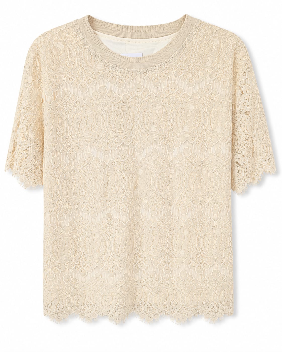 Women’s Beige Floral Lace Short-Sleeve Top